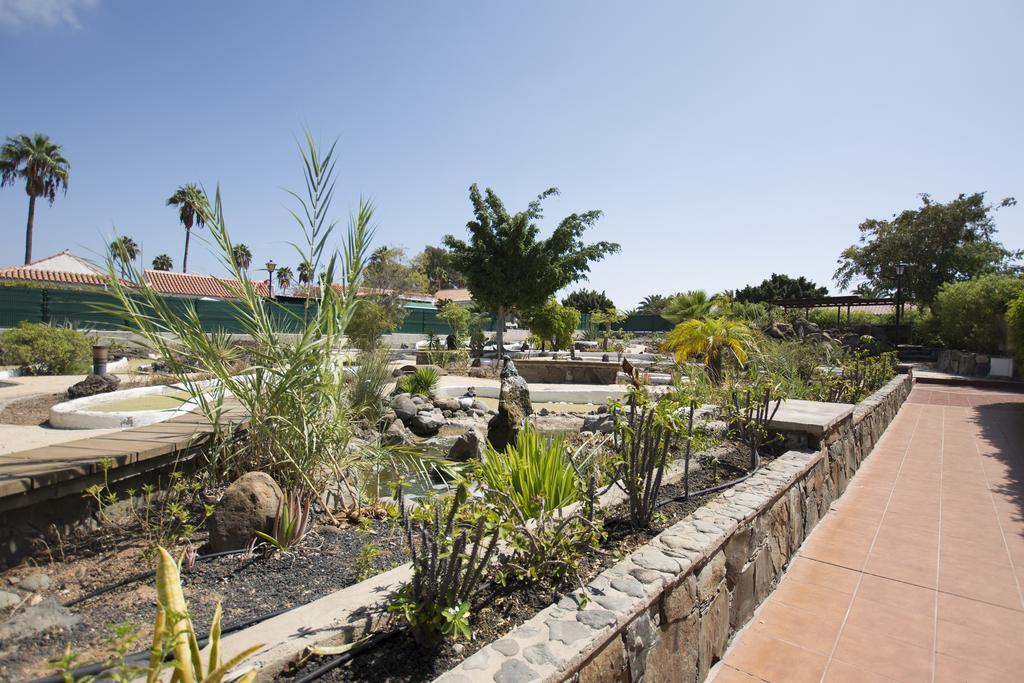Serenity Garden Lejlighed Maspalomas  Eksteriør billede